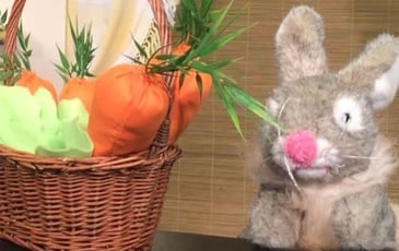 Drôle de lapin