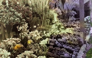 Au cœur des sociétés photographiques du Cambrésis : regards amateurs, mémoires régionales