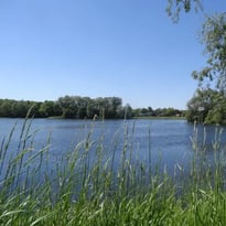 Visite guidée à la découverte de la préservation du patrimoine naturel de la chaîne des lacs