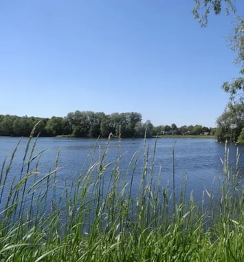 Visite guidée à la découverte de la préservation du patrimoine naturel de la chaîne des lacs