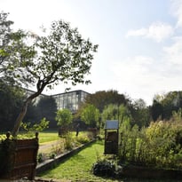 Visite guidée du Jardin des Plantes