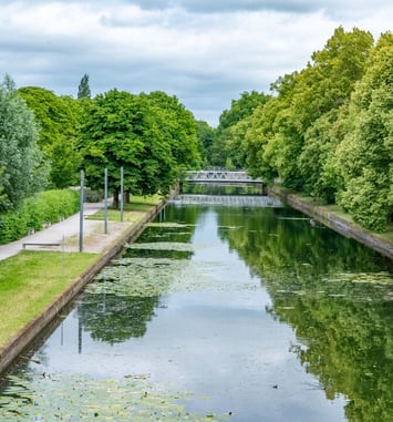 Balade nature "À la rencontre de la biodiversité"
