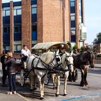 Navette en calèche