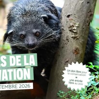 Les journées de la conservation