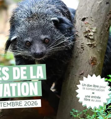 Les journées de la conservation