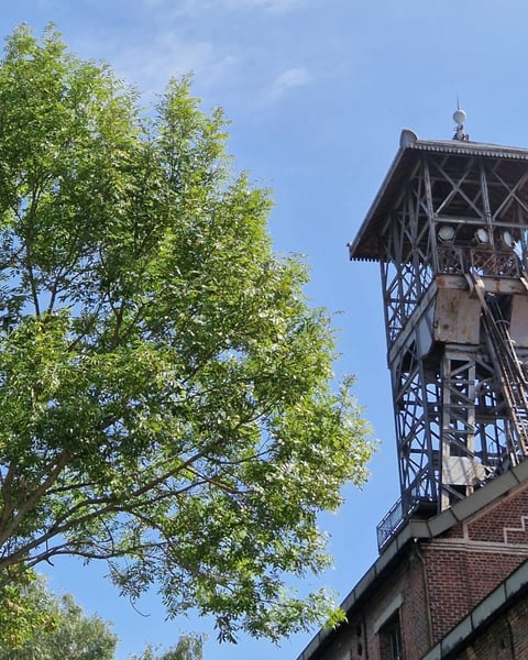 Centre Historique Minier