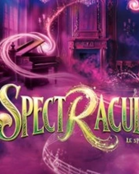 Spectraculaire, Dîner spectacle