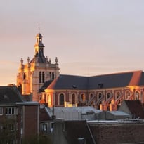 Visite commentée de la collégiale St Pierre