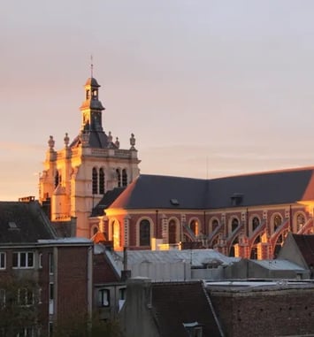 Visite commentée de la collégiale St Pierre