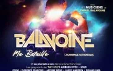 Balavoine, Ma Bataille