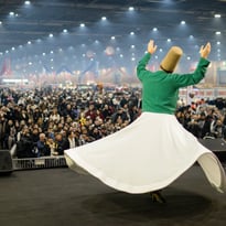 FestiExpo