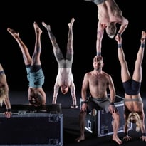 Gravity & Other Myths