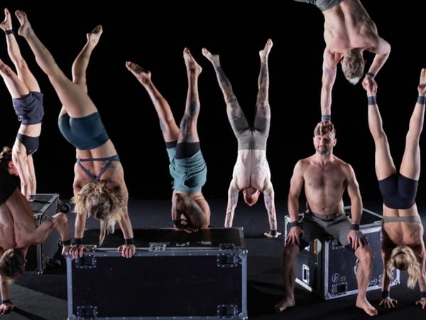 Gravity & Other Myths