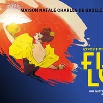 Fiat lux ! Une quête effrénée de lumière au XIXᵉ siècle