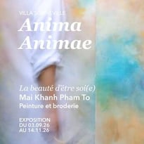 Anima, Animae