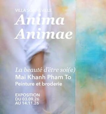 Anima, Animae