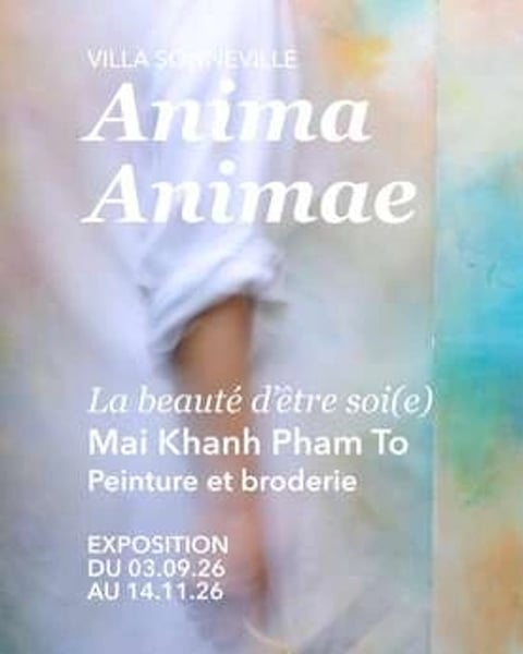 Anima, Animae