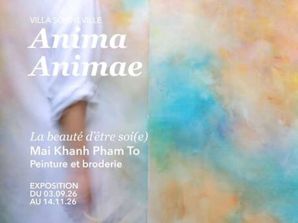 Anima, Animae