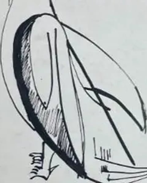 Mohamed Ramoul