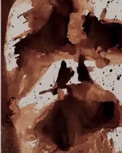 Les mystères du Sahara, le bestiaire du voyageur