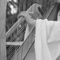 Conte Musical Baba Yaga