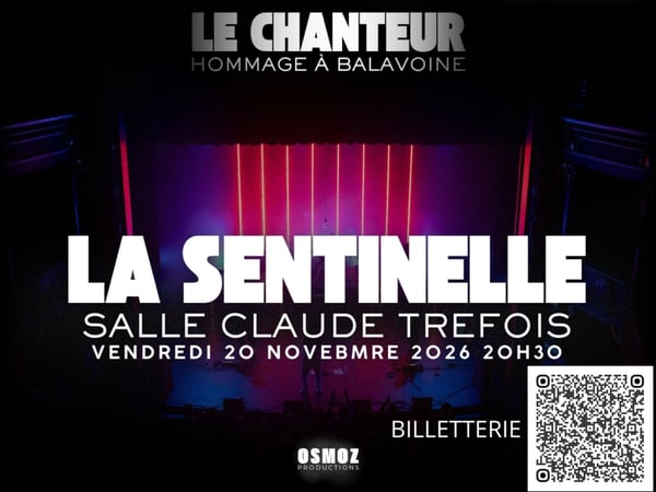 Le Chanteur : Hommage à Daniel Balavoine