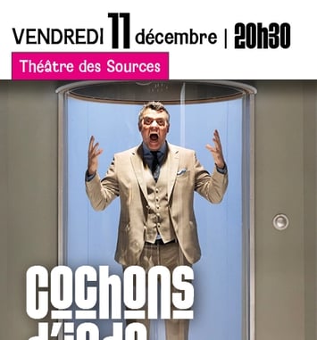 Cochons d'Inde