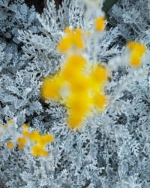 Big Bang