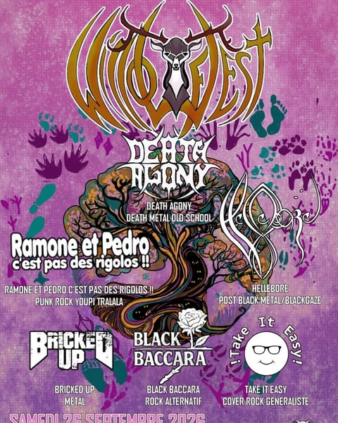 Willow Fest
