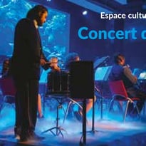 Concert de Sainte Cécile