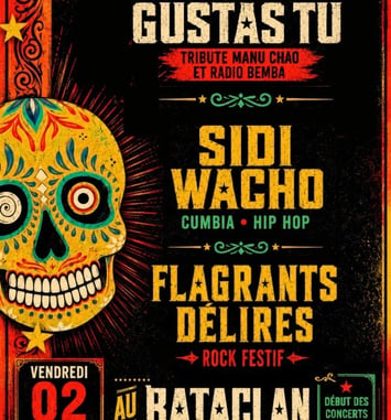 Me Gustas Tú, Tribute Manu Chao