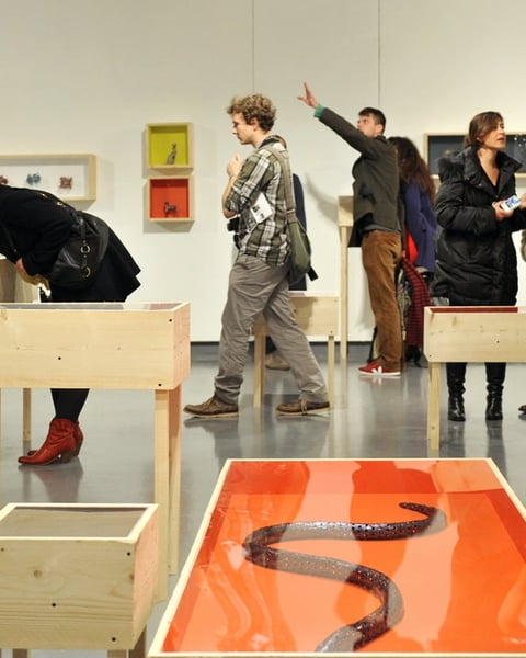 Espace Le Carré