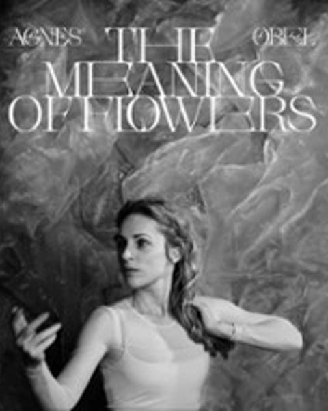 Agnes Obel Tournée