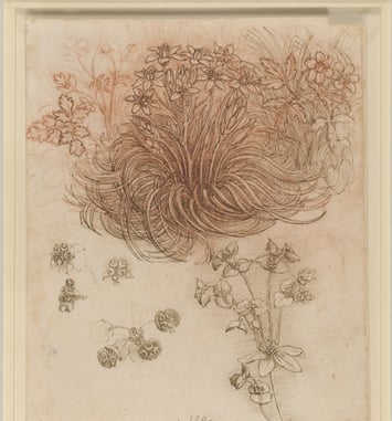 Léonard de Vinci et la nature