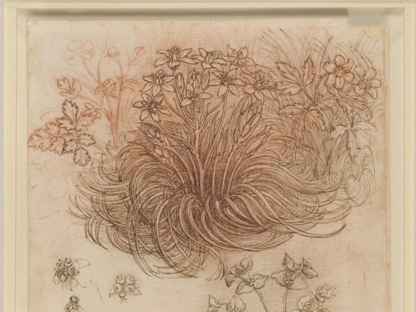 Léonard de Vinci et la nature
