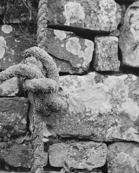 Exposition Ithaca