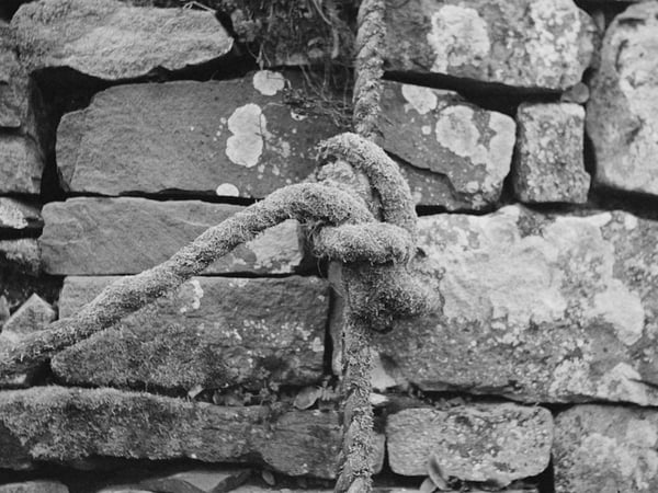 Exposition Ithaca