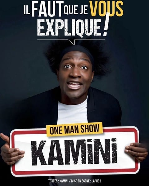 Kamini dans il faut que je vous explique !