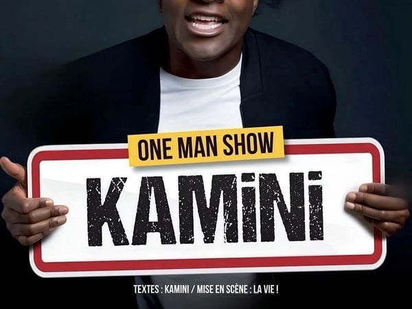 Kamini dans il faut que je vous explique !