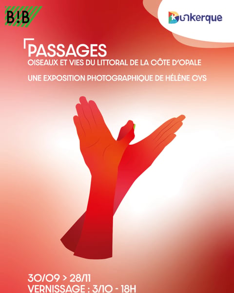 Passages - Oiseaux et vies du littoral de la Côte d'Opale