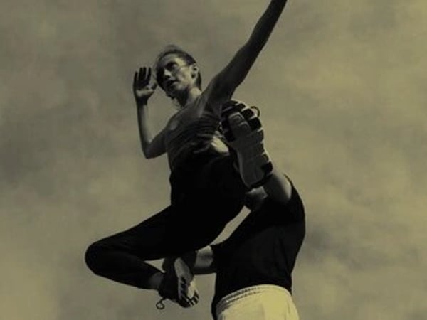 Swan Lake Solo + Un spectacle que la loi considérera mien