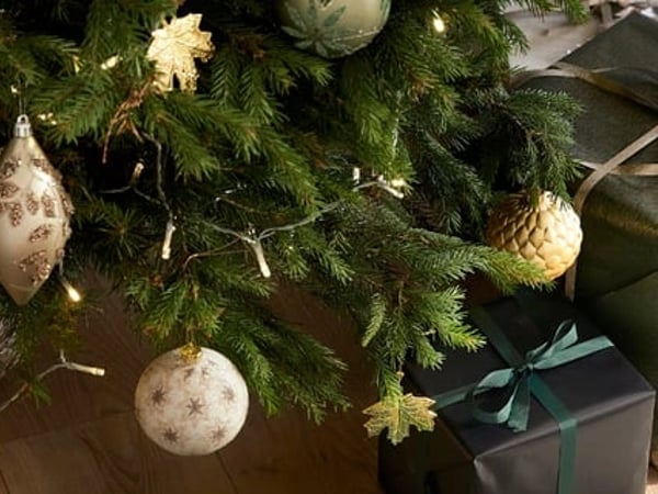Audition de Noël du département Cordes