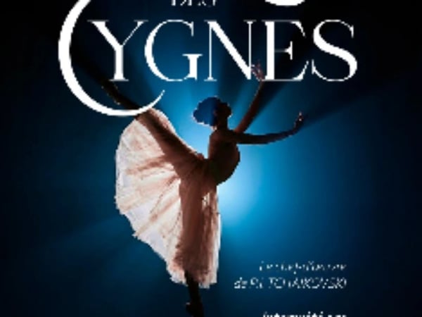Lac des cygnes