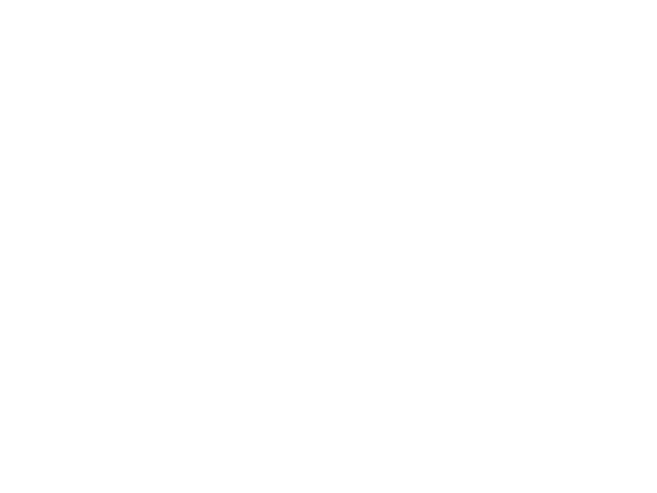 Alex hypnotiseur